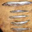 What is anchovy, what are its benefits and harms, how to eat it?