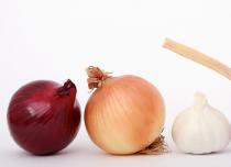 The benefits and harm of onions