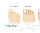 Why is the second toe longer than the big toe?