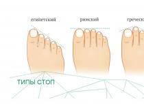Why is the second toe longer than the big toe?