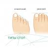 Why is the second toe longer than the big toe?