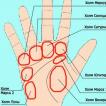 Avkoding av håndens linjer: påført håndflate